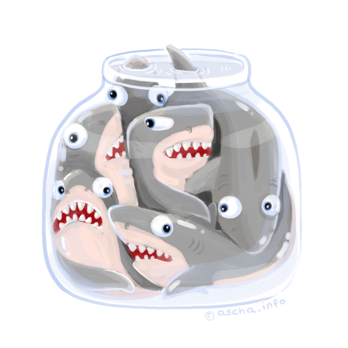 sharks jar by ascha